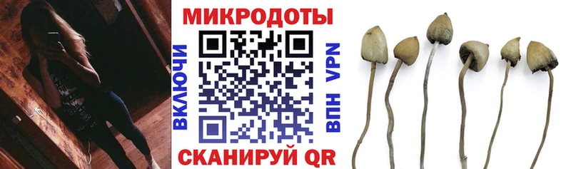 Галлюциногенные грибы Psilocybe  OMG ONION  shop наркотические препараты  Поворино 